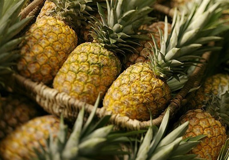 مجوز واردات آناناس از فلیپین و ونزوئلا صادر شد+ سند
