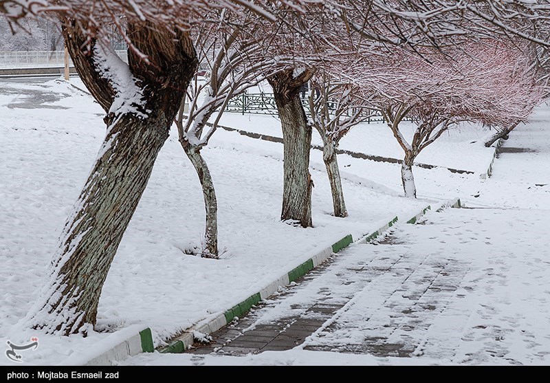 شهرکرد سردترین نقطه در کشور؛ دمای هوا در بام ایران کاهش می‌یابد