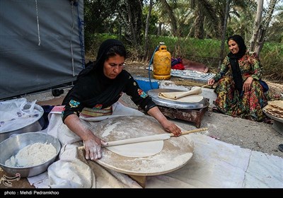 در حاشیه برگزاری جشنواره گل نرگس نمایشگاه صنایع دستی، نشست های علمی و تخصصی گل نرگس، کارگاه آموزشی و برنامه های آیینی