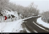 بارش برف در خراسان رضوی به روایت تصویر
