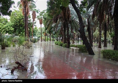 آبگرفتگی معابر در بندرعباس