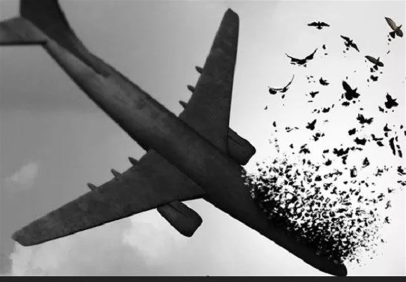 سروده‌‌هایی در سوگ جانباختگان هواپیمای اوکراینی: «پرنده‌ها همه در آسمان غبار شدند...»