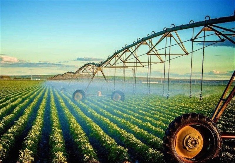 ظرفیت کشاورزی لرستان برای توسعه و اشتغال استان به‌کار گرفته شود