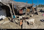 سردی بازار همدردی با سیلزدگان در همدان؛ اصناف پای کار نیستند