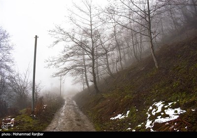 یک روز زمستانی در طبعیت سیاهکل