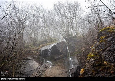 یک روز زمستانی در طبعیت سیاهکل