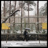 بارش برف زمستانی در تهران