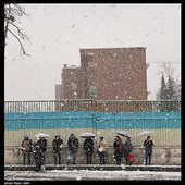 بارش برف زمستانی در تهران
