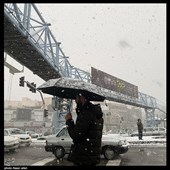 بارش برف زمستانی در تهران