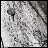 بارش برف زمستانی در تهران