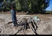 تغییر اقلیم عامل وقوع سیل در سیستان و بلوچستان بوده است