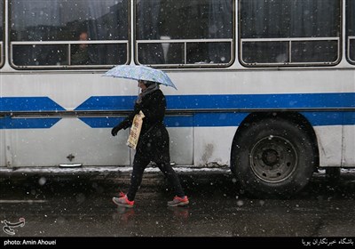 بارش برف زمستانی در تهران