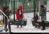 بارش برف زمستانی در تهران