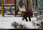 بارش برف زمستانی در تهران