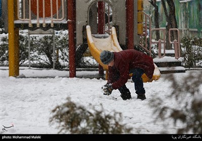 بارش برف زمستانی در تهران