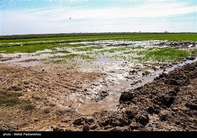 مگطوع، روستایی از توابع بخش مرکزی شهرستان اهواز است و میدان نفتی آبتیمور ، در فاصله ۲۵ کیلومتری از غرب اهواز میان میدان نفتی منصوری ومیدان نفتی سوسنگرد است