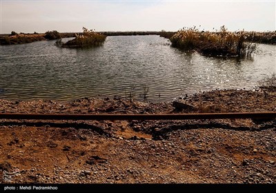 فعالیت دائمی فلرهای نفتی و انتشار آلودگی در این منطقه است که موجب نابودی بسیاری از زمین‌های کشاورزی حاصل خیز این روستا و مبتلا شدن اهالی این روستاها به بیماری‌های تنفسی شده است