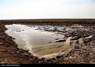 مگطوع، روستایی از توابع بخش مرکزی شهرستان اهواز است و میدان نفتی آبتیمور ، در فاصله ۲۵ کیلومتری از غرب اهواز میان میدان نفتی منصوری ومیدان نفتی سوسنگرد است