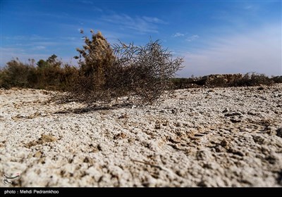 فعالیت دائمی فلرهای نفتی و انتشار آلودگی در این منطقه است که موجب نابودی بسیاری از زمین‌های کشاورزی حاصل خیز این روستا و مبتلا شدن اهالی این روستاها به بیماری‌های تنفسی شده است