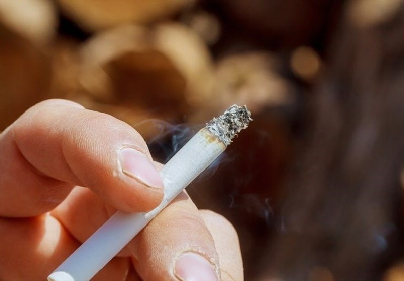 استقرار مخازن ویژه فیلتر سیگار در طولانی‌ترین خیابان خاورمیانه