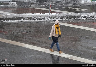 بارش برف زمستانی در تهران