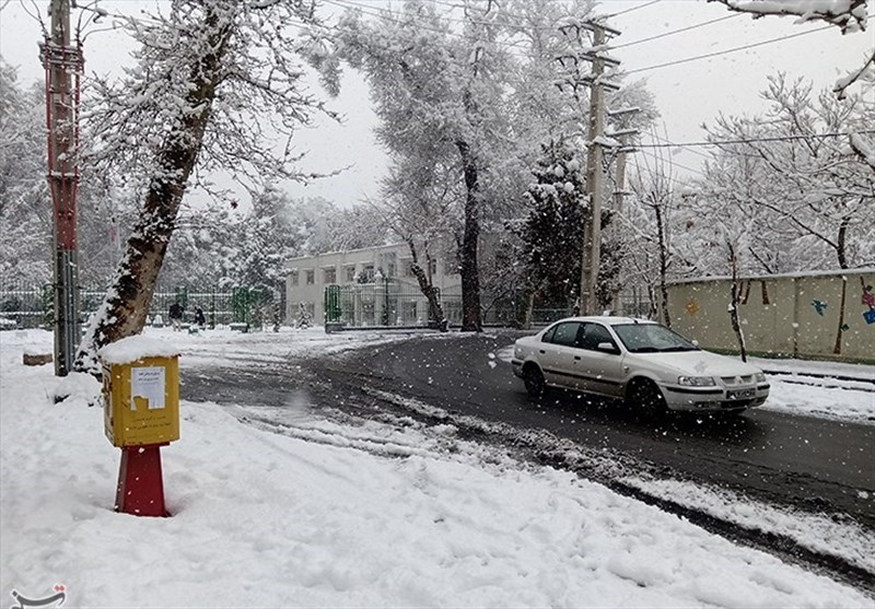 هواشناسی ایران 98/10/30| بارش برف و باران تا پنجشنبه ادامه دارد/ احتمال بارش برف در شمال تهران