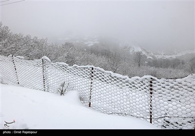 بارش برف در ییلاقات اشکورات گیلان 