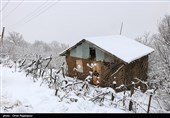 هواشناسی ایران 98/11/7|آغاز بارش برف و باران از روز جمعه