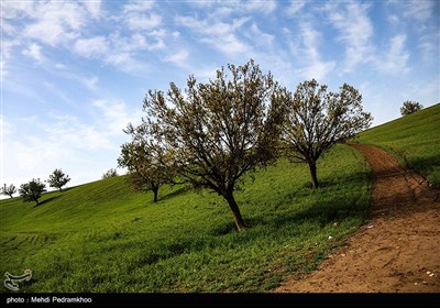 دهدز بهشت پنهان - خوزستان