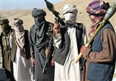 طالبان به همه نیروهایش دستور توقف حمله داد