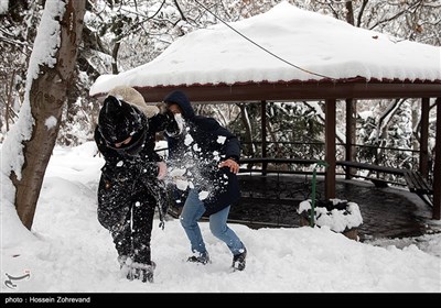 Winter Snow Covers Iranian Capital