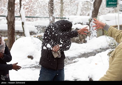 Winter Snow Covers Iranian Capital