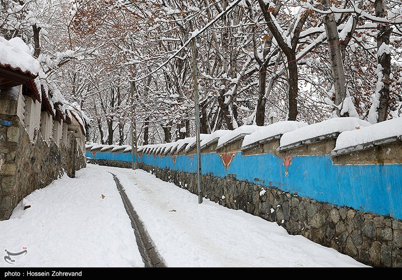 هواشناسی ایران 98/11/11| آغاز بارش برف و باران گسترده از بعدازظهر امروز