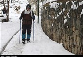 آمادهباش 1500 نیروی شهرداری برای برفروبی و پاکسازی معابر