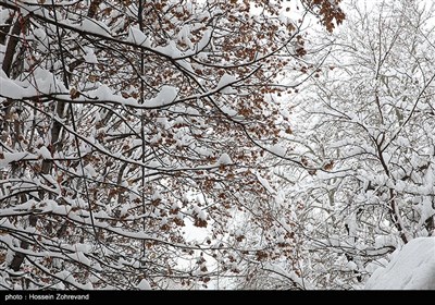 Winter Snow Covers Iranian Capital