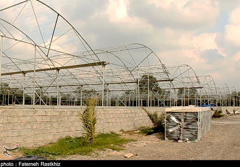 تهران| سازه‌های گلخانه‌ای شهرستان ری از پرداخت عوارض معاف شدند