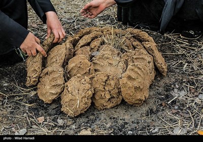 صرف غذای محلی در کنار هورالعظیم - خوزستان