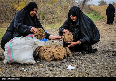 صرف غذای محلی در کنار هورالعظیم - خوزستان