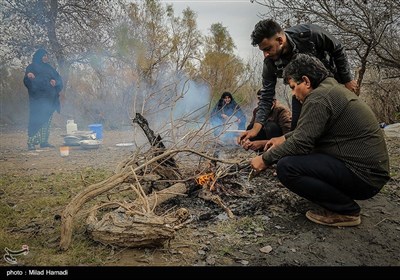 صرف غذای محلی در کنار هورالعظیم - خوزستان