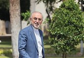 صالحی: چالش ایران و آژانس با تدبیر بزرگان نظام حل شد