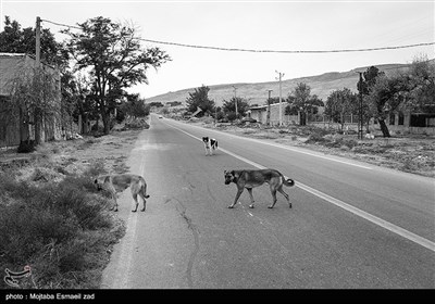 جاده منتهی به بندر گلمانخانه در اغلب ساعات شبانه روز خلوت و بدون رفت و آمد است