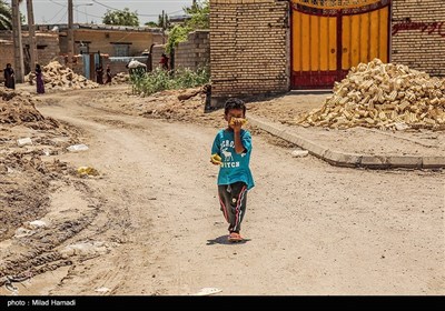 زندگی در تالاب شادگان