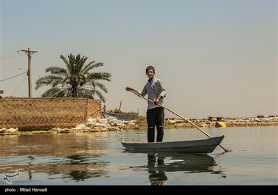 زندگی در تالاب شادگان