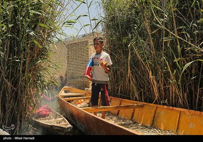 زندگی در تالاب شادگان