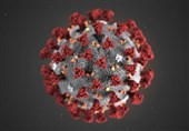 مانع تراشی آمریکا در همکاری بین‌المللی برای مقابله با ویروس کرونا