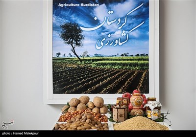 چهارمین نمایشگاه توانمندی‌های صادراتی ایران (Iran Expo)