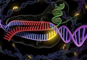 Gene Editing to Come to Help of Fighting Cancer