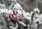 توصیه‌های هواشناسی به کشاورزان تا 25 بهمن/هشدار بارش سنگین برف