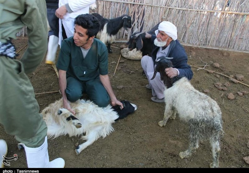 حضور گروه دامپزشکی قرارگاه جهادی ‌خوزستان در مناطق سیل‌زده سیستان و بلوچستان + تصاویر ‌