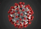 پای ویروس کرونا به آفریقا باز شد